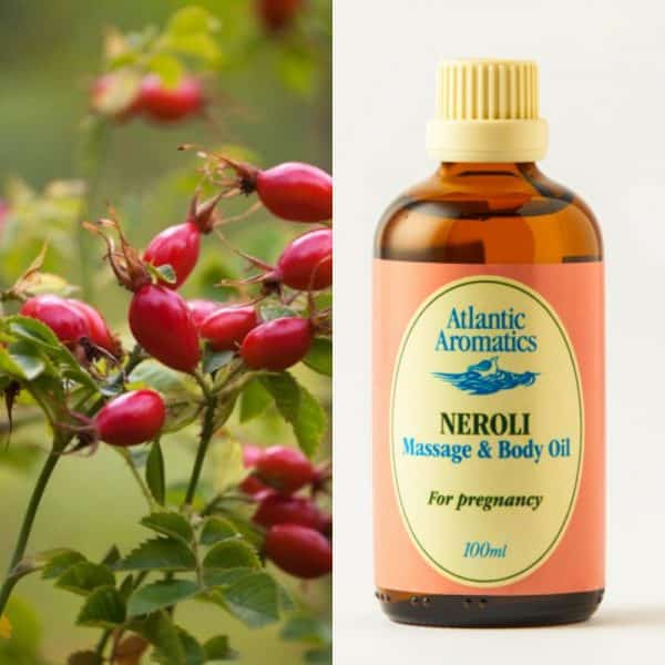 Atlantic Aromatics Neroli Massage & Body Oil - 100ml