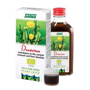 Dandelion Plant Juice
