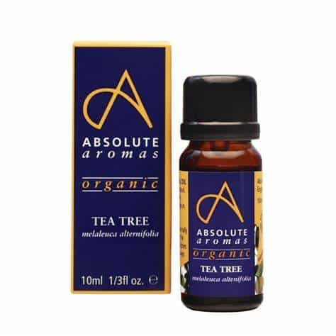 Absolute Aromas Organic Tea Tree Oil - 10ml